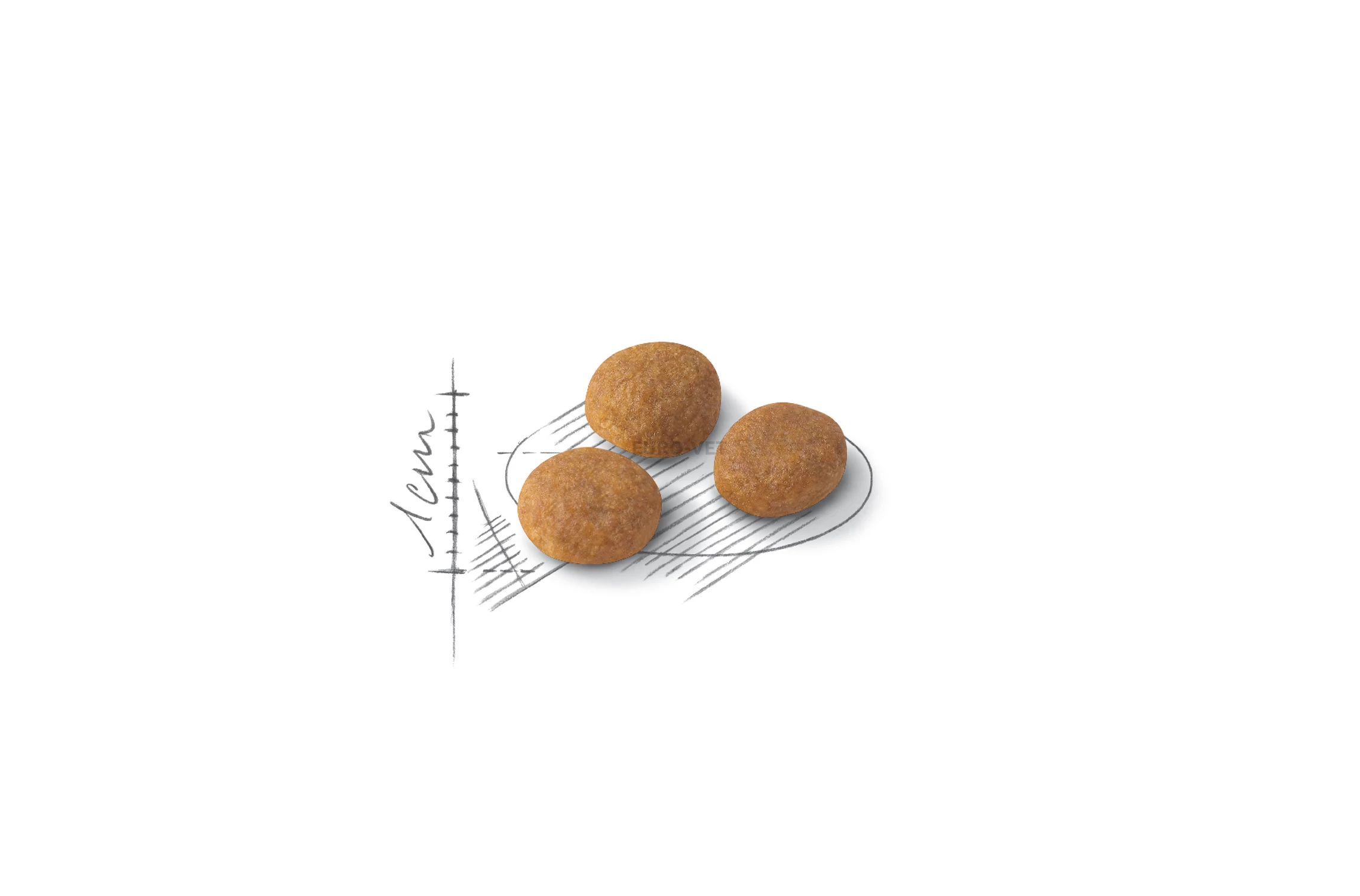 Royal Canin Aroma Exigent 33 400 g Feed EURO VET Webshop